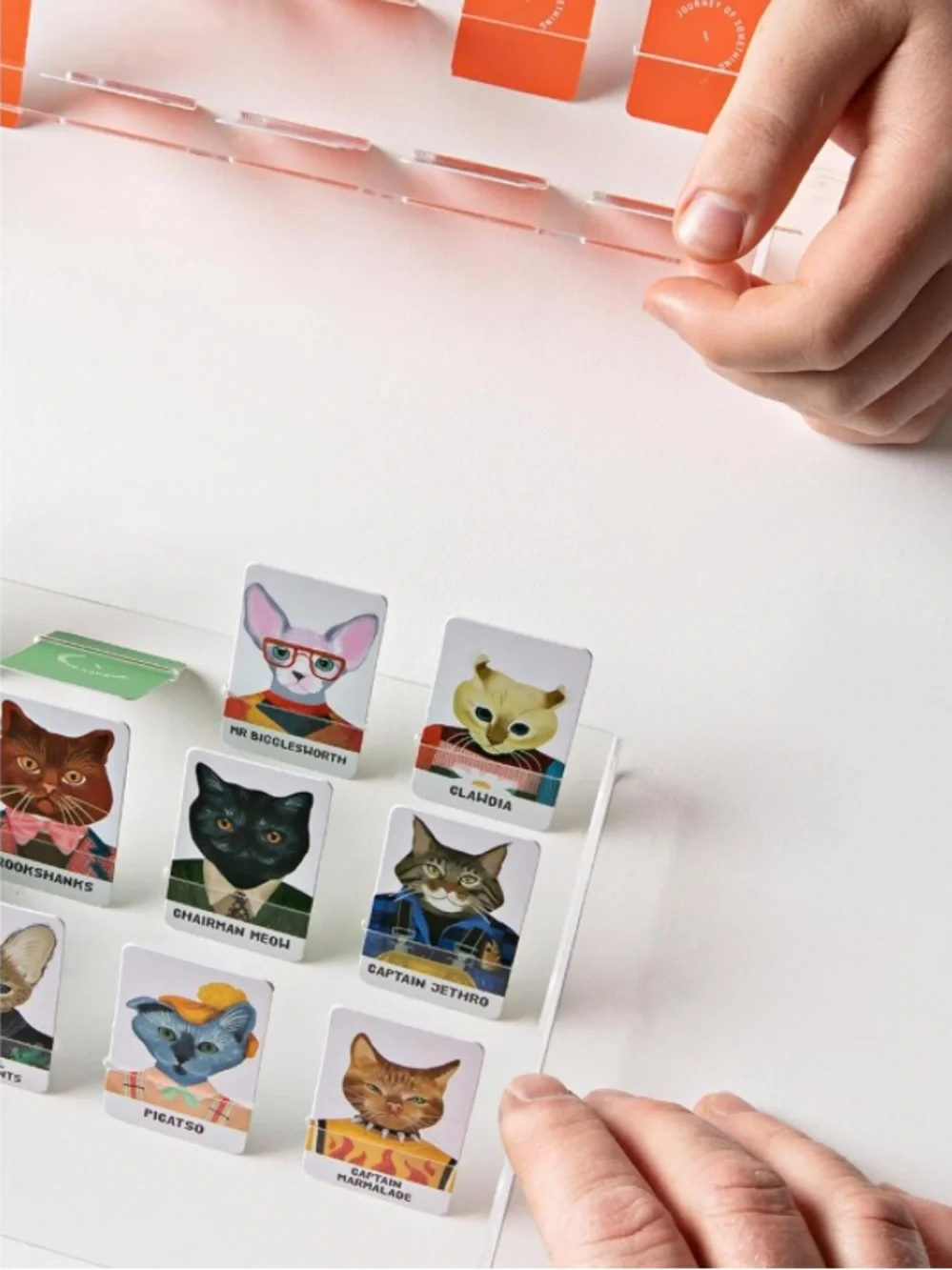 Guess the Feline Kids Toy Game - Colorful Cat Characters